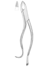 KELLS Fig. 99A upper incisors,  canines, premolars